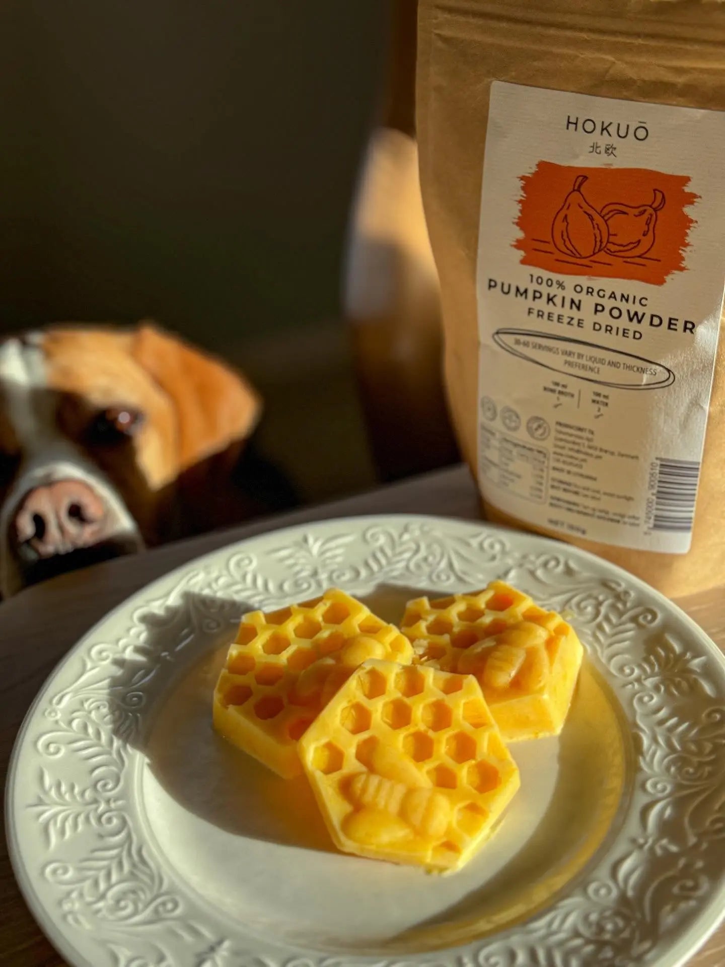 Hvorfor hunder kan (og bør) få gresskar pulver 🎃