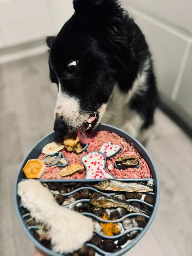 Måne festival | Slowfeeder til hund  |  Pawesomeday.no