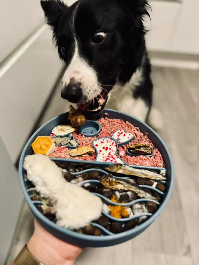 Måne festival | Slowfeeder til hund  |  Pawesomeday.no