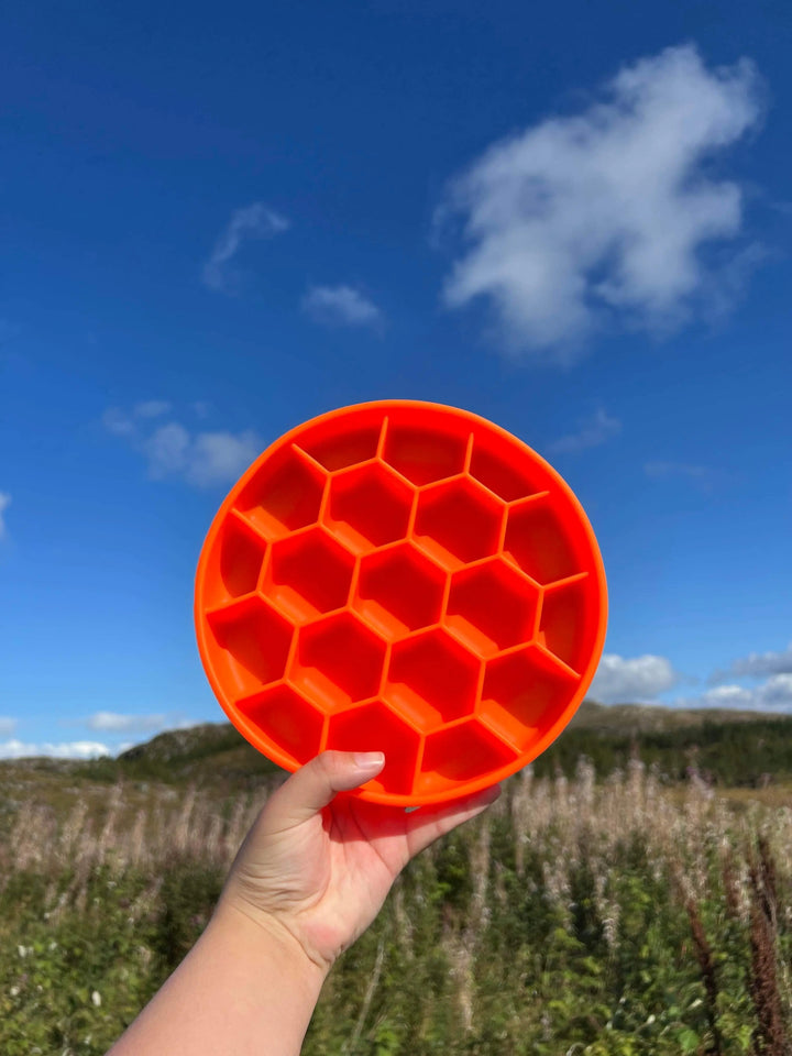 Slowfeeder rutete, med stor sugekopp.  |  Pawesomeday