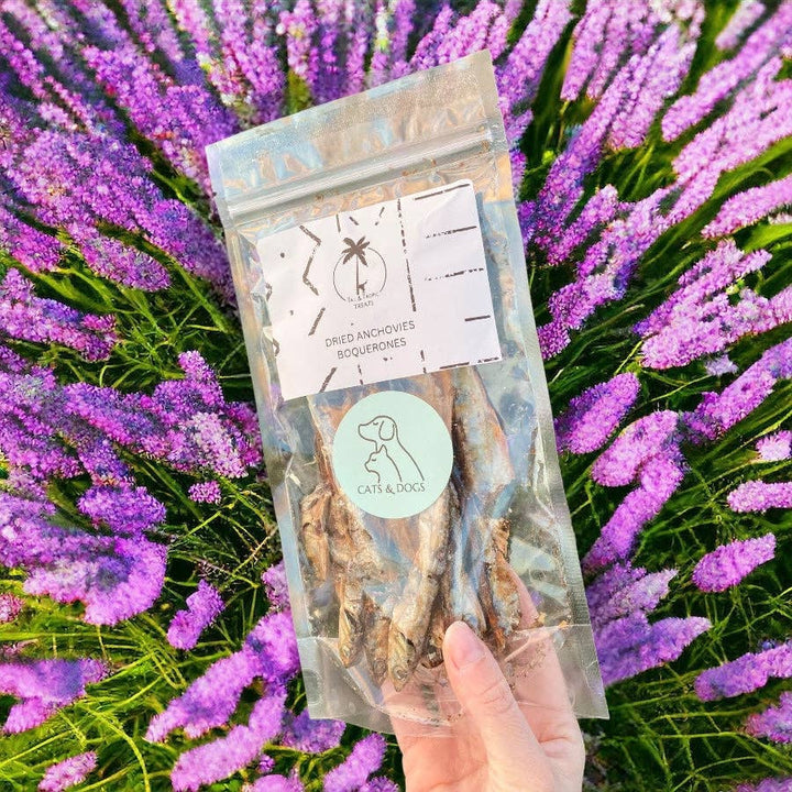 DRIED ANCHOVIES - Dehydrated natural treat for dogs and cats  |  Pawesomeday.no