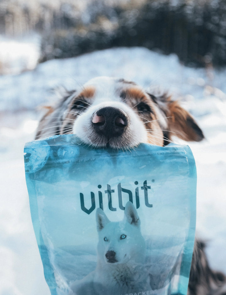 VitBit Collagen Crackers m/Blåbær 70g  |  Pawesomeday