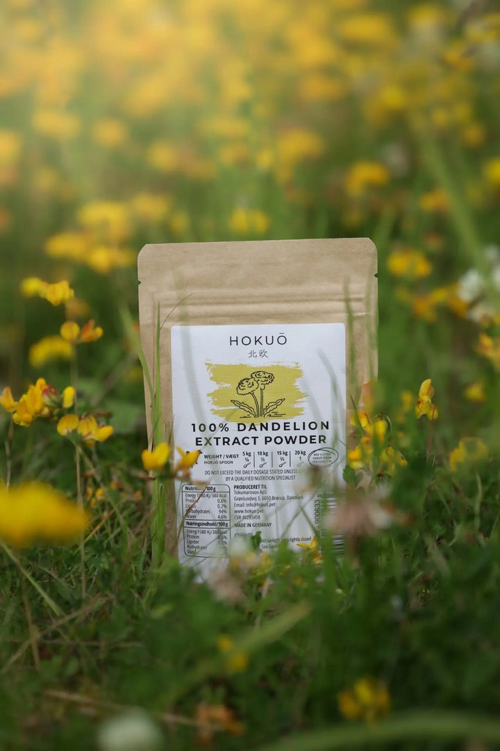 Hokuō™ - Løvetann ekstrakt pulver - 50g | Løvetann ekstrakt til hund  |  Pawesomeday.no