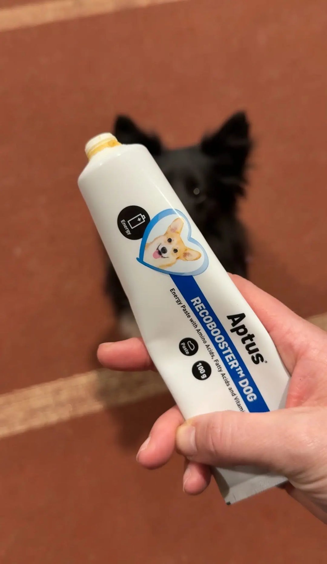Aptus Recovery Booster – Energitilskudd for hunder 🐶⚡  |  Pawesomeday.no