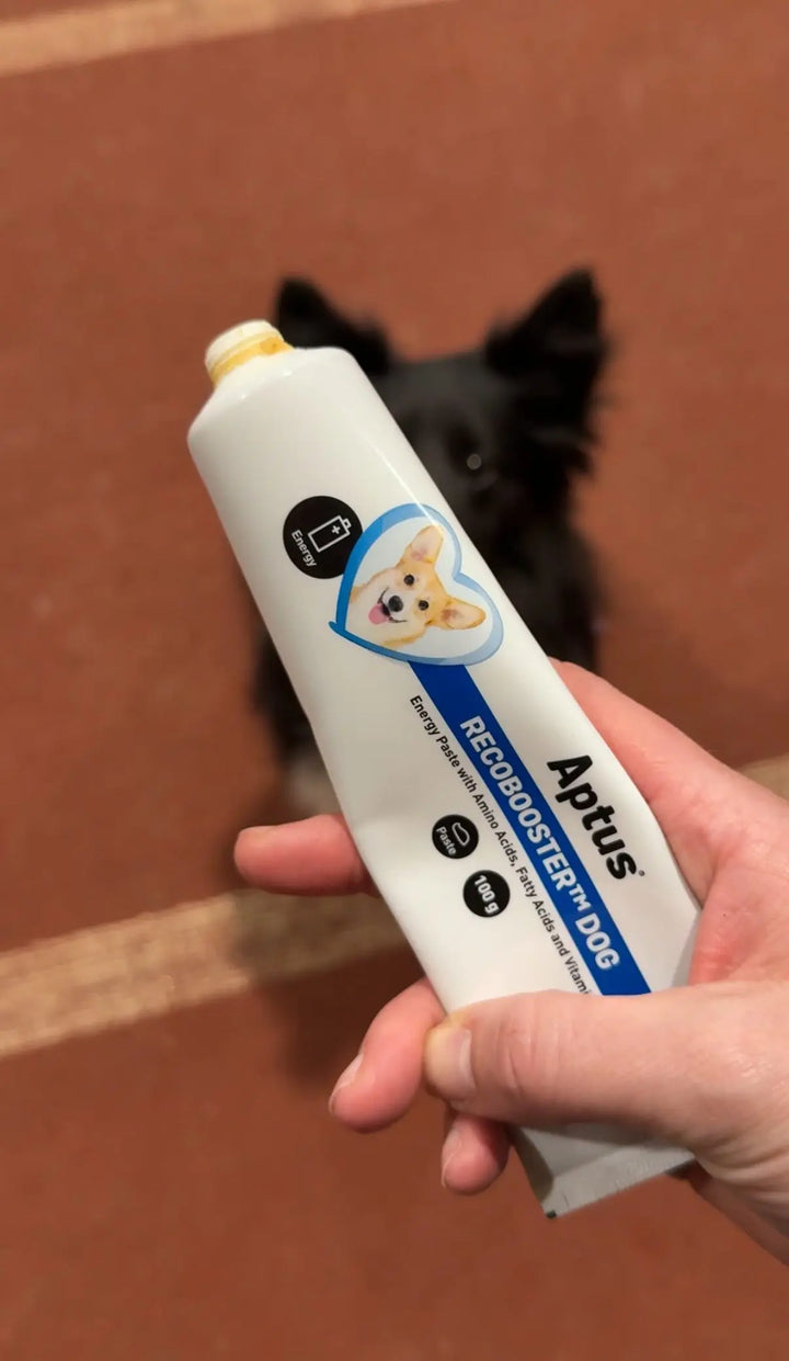 Aptus Recovery Booster – Energitilskudd for hunder 🐶⚡  |  Pawesomeday.no