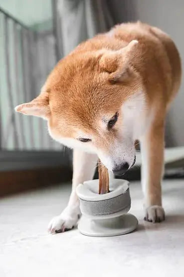 CHEWDEN Grip: Dog Chew Holder  |  Pawesomeday.no