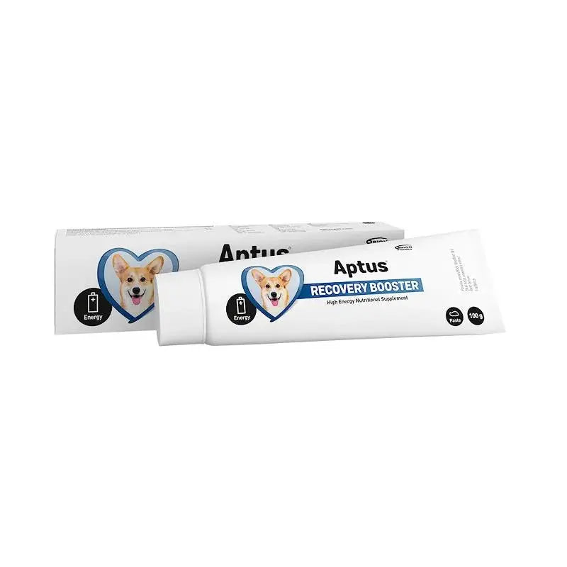 Aptus Recovery Booster Dog energy paste 100g  |  Pawesomeday.no