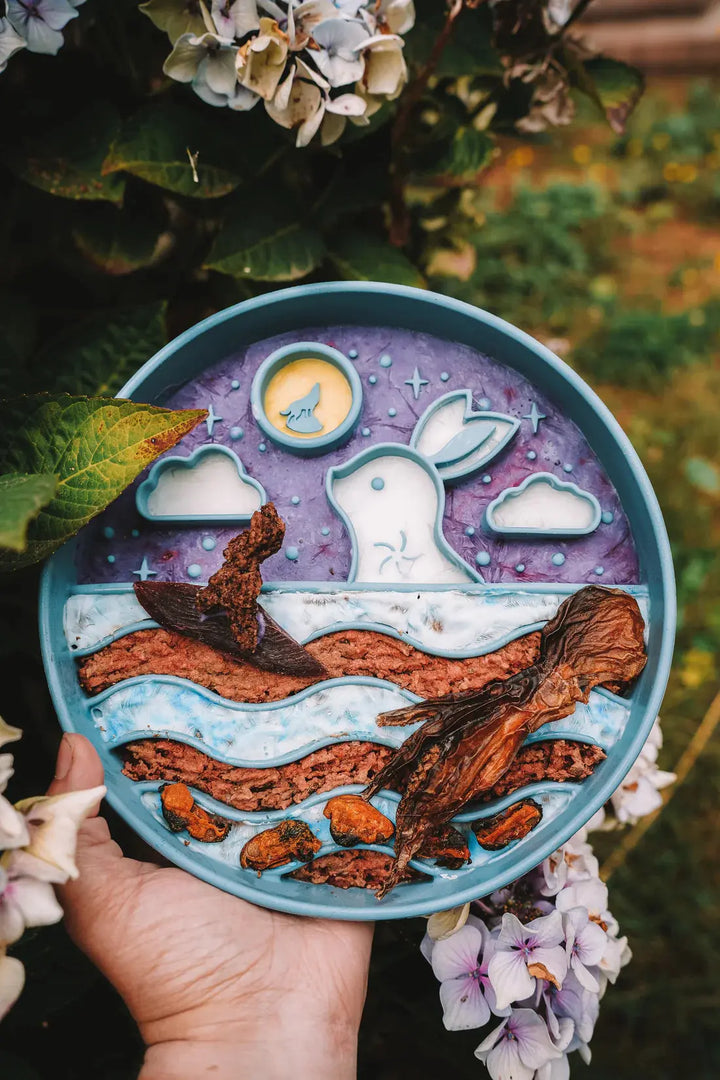 Måne festival | Slowfeeder til hund  |  Pawesomeday.no