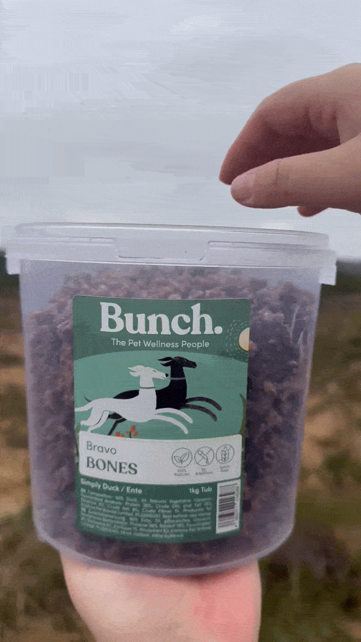 Treningsgodbiter av and | Bunch | 1kg & 100g  |  Pawesomeday.no