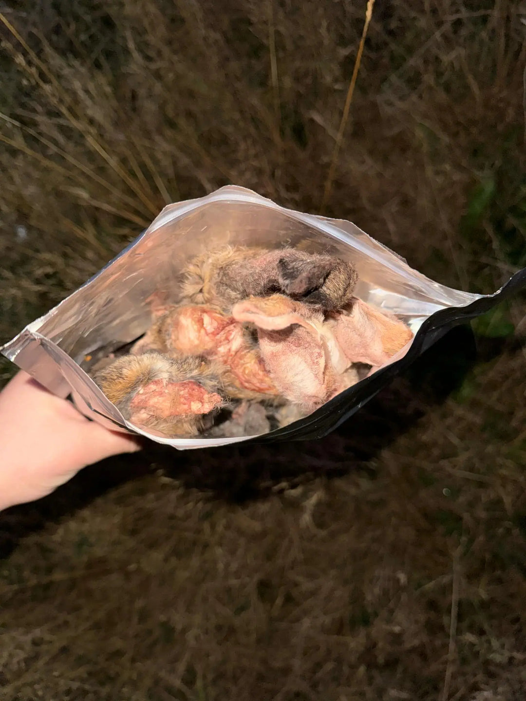 Ekstra frysetørkede kaninører - 200g - Hokuō®  |  Pawesomeday.no