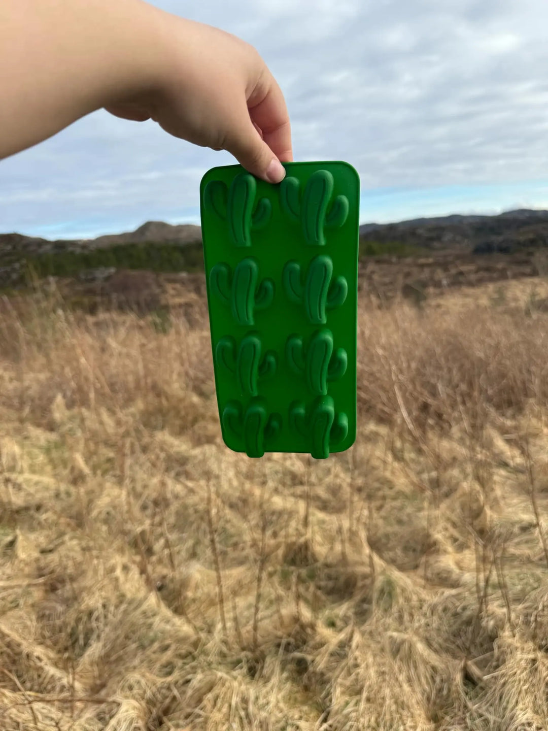 Kaktus isbitform | Isbitform til hund  |  Pawesomeday.no