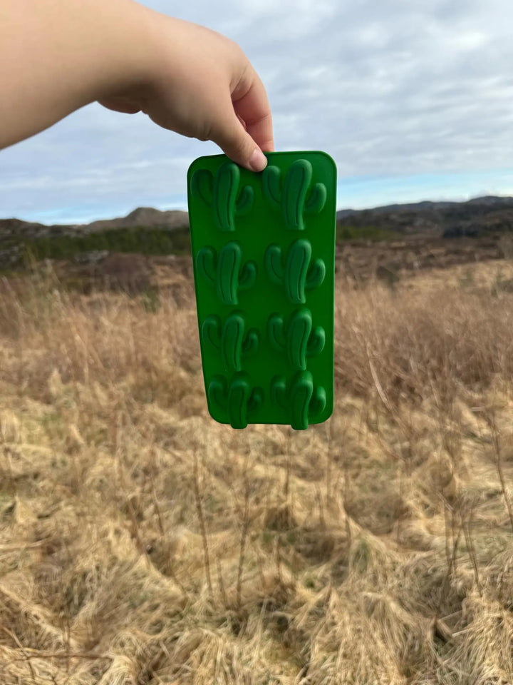 Kaktus isbitform | Isbitform til hund  |  Pawesomeday.no