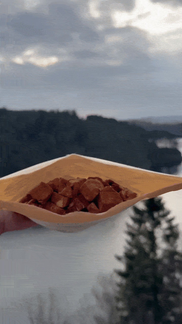 Extra wild venison 100g I Frysetørket finsk viltkjøtt - Hokuō®  |  Pawesomeday.no