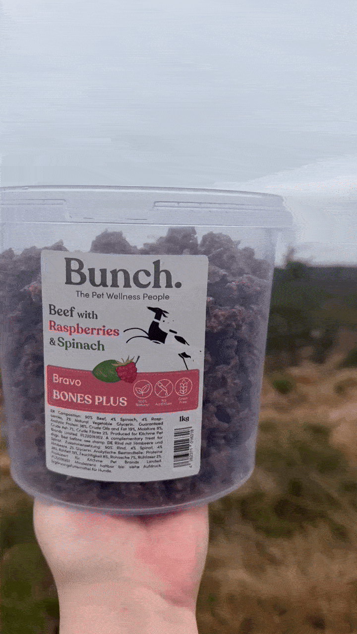 Treningsgodbiter av storfe, med bringebær og spinat | Bunch | 1kg & 100g  |  Pawesomeday.no