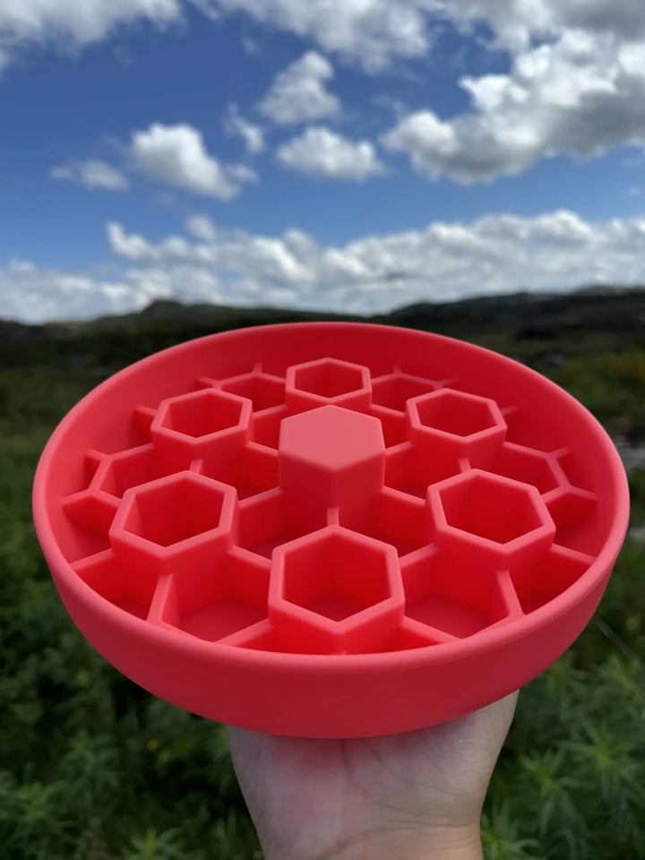 Bikube slowfeeder | Slowfeeder til hund  |  Pawesomeday.no