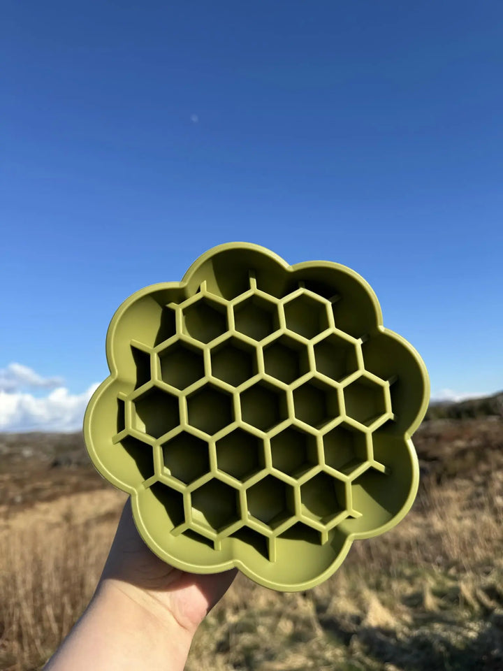 Solsikke slowfeeder  |  Pawesomeday.no