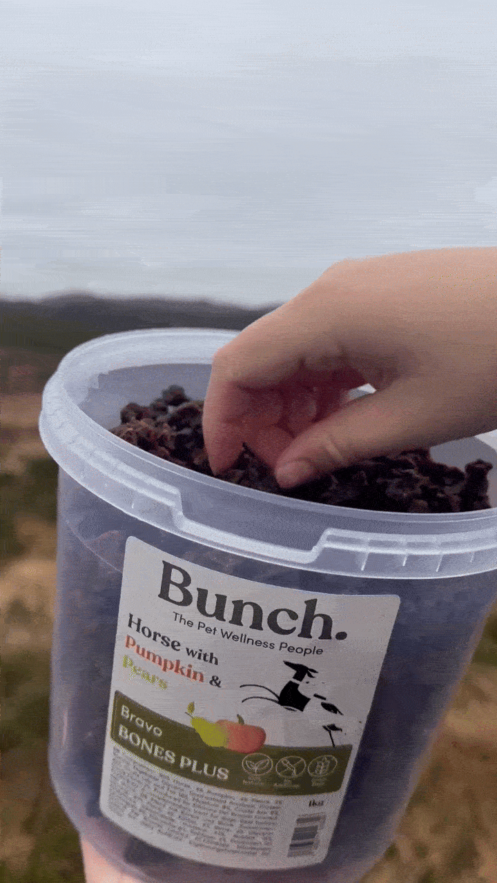 Treningsgodbiter av hest, gresskar og pære | Bunch | 1kg & 100g  |  Pawesomeday.no