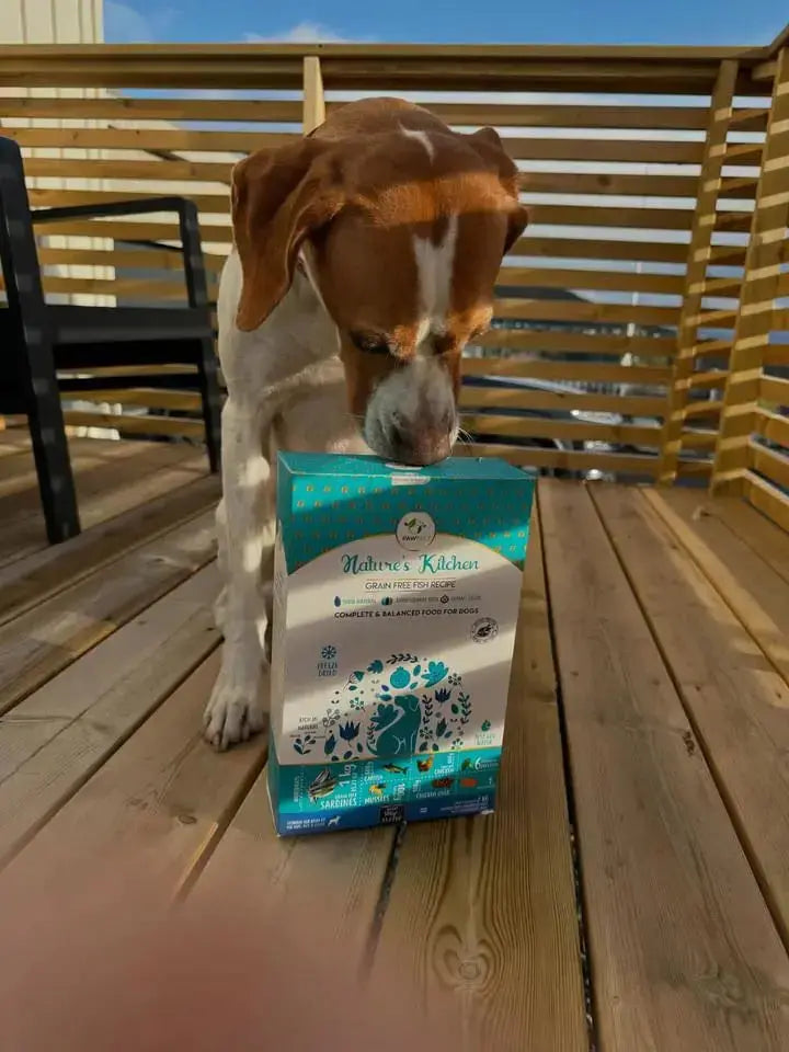 Pawfect Nature's Kitchen Frysetørket Mat for Hund – Fisk 500g  |  Pawesomeday.no