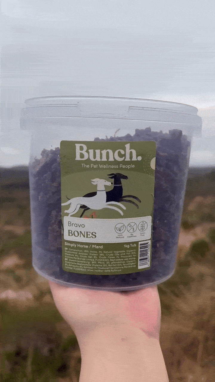 Treningsgodbiter av hest | Bunch | 1kg & 100g  |  Pawesomeday.no