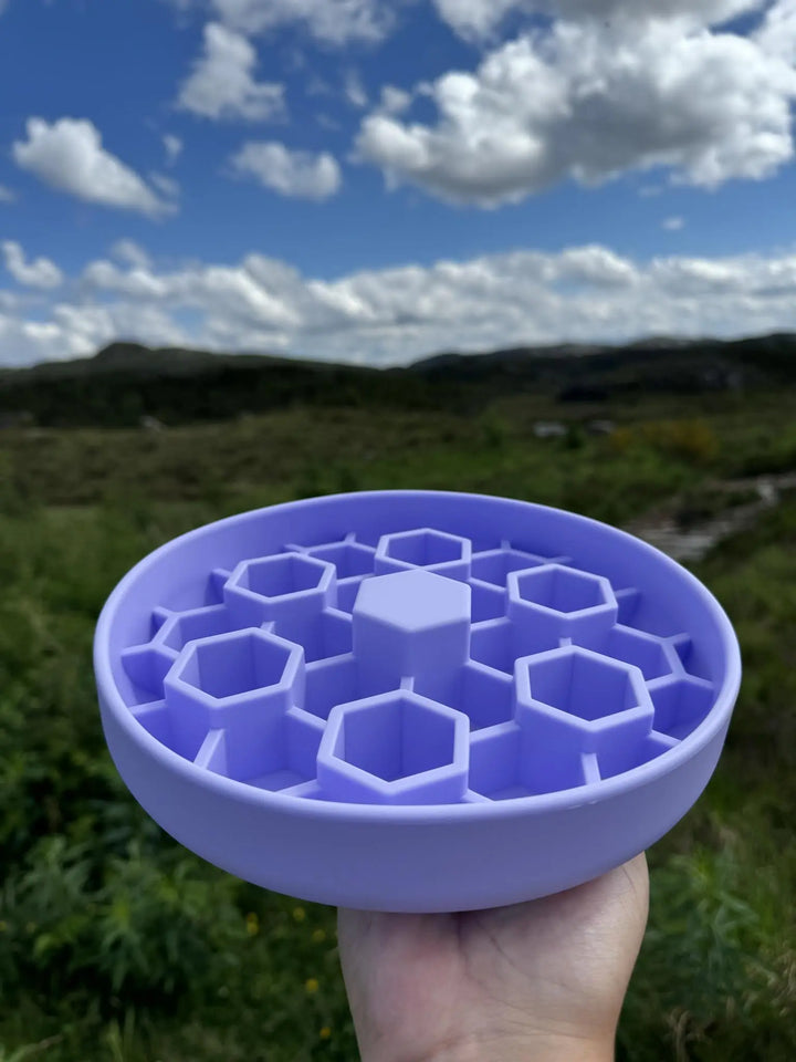 Bikube slowfeeder | Slowfeeder til hund  |  Pawesomeday.no