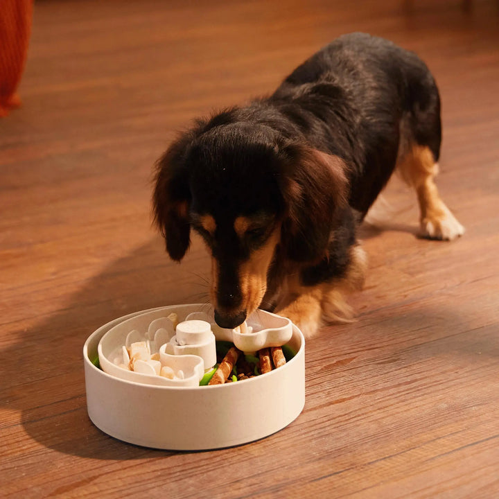 Puzzle Feeder™ Lite / Dog Bowl for Eating Habit Training for  |  Pawesomeday