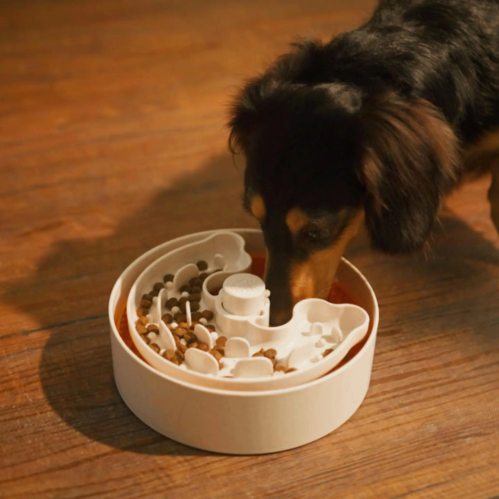 Puzzle Lick Bowl Lite / Dog Bowl for Licking Training for S/  |  Pawesomeday
