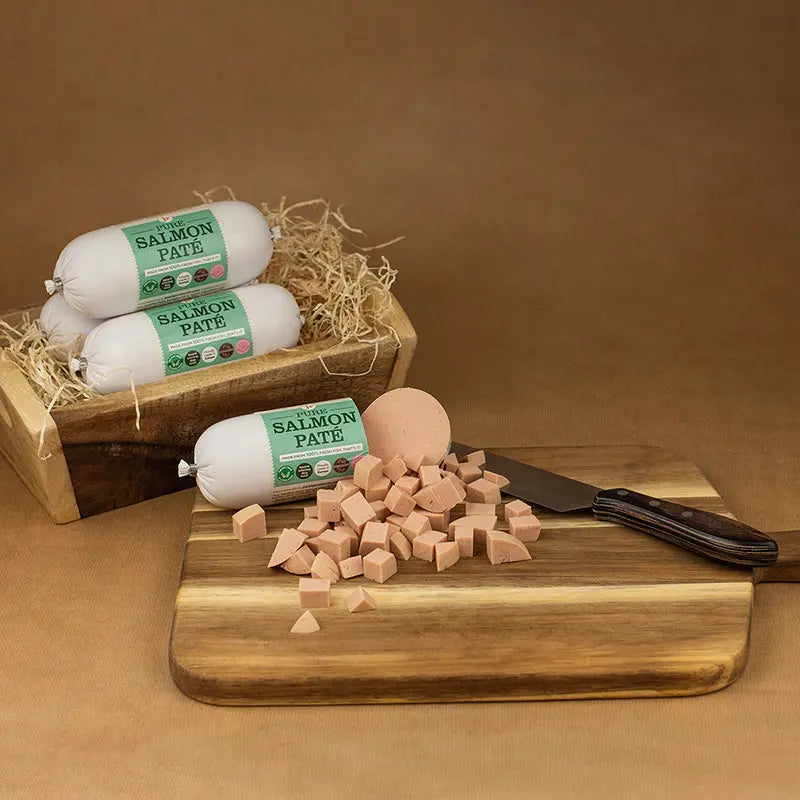 Pure Salmon Pate 400g - JR.Pet | Pawesomeday.no