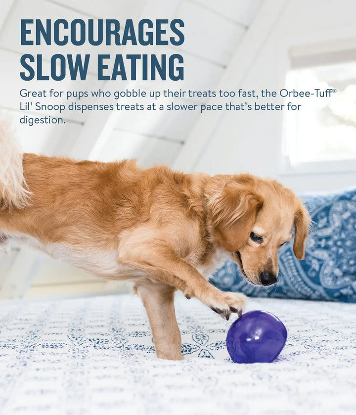 Orbee-Tuff Snoop gir god hjernestimuli for hunden din | Pawesomeday.no