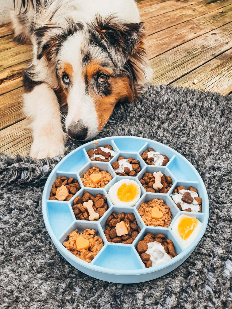 Hvorfor-din-hund-trenger-en-slowfeeder-eller-flere-hehe | Pawesomeday