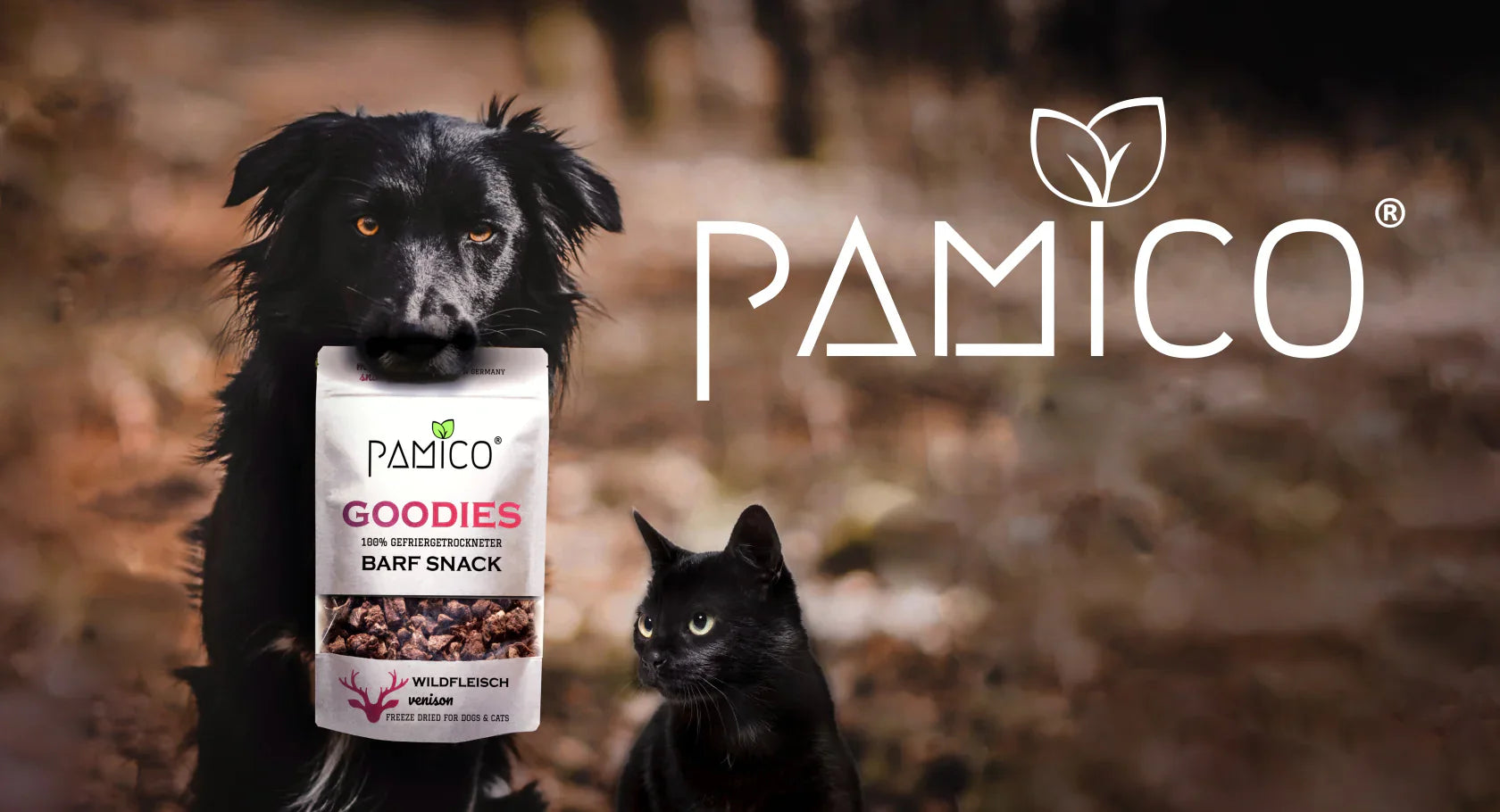 Alt fra Mush |  Pawesomeday