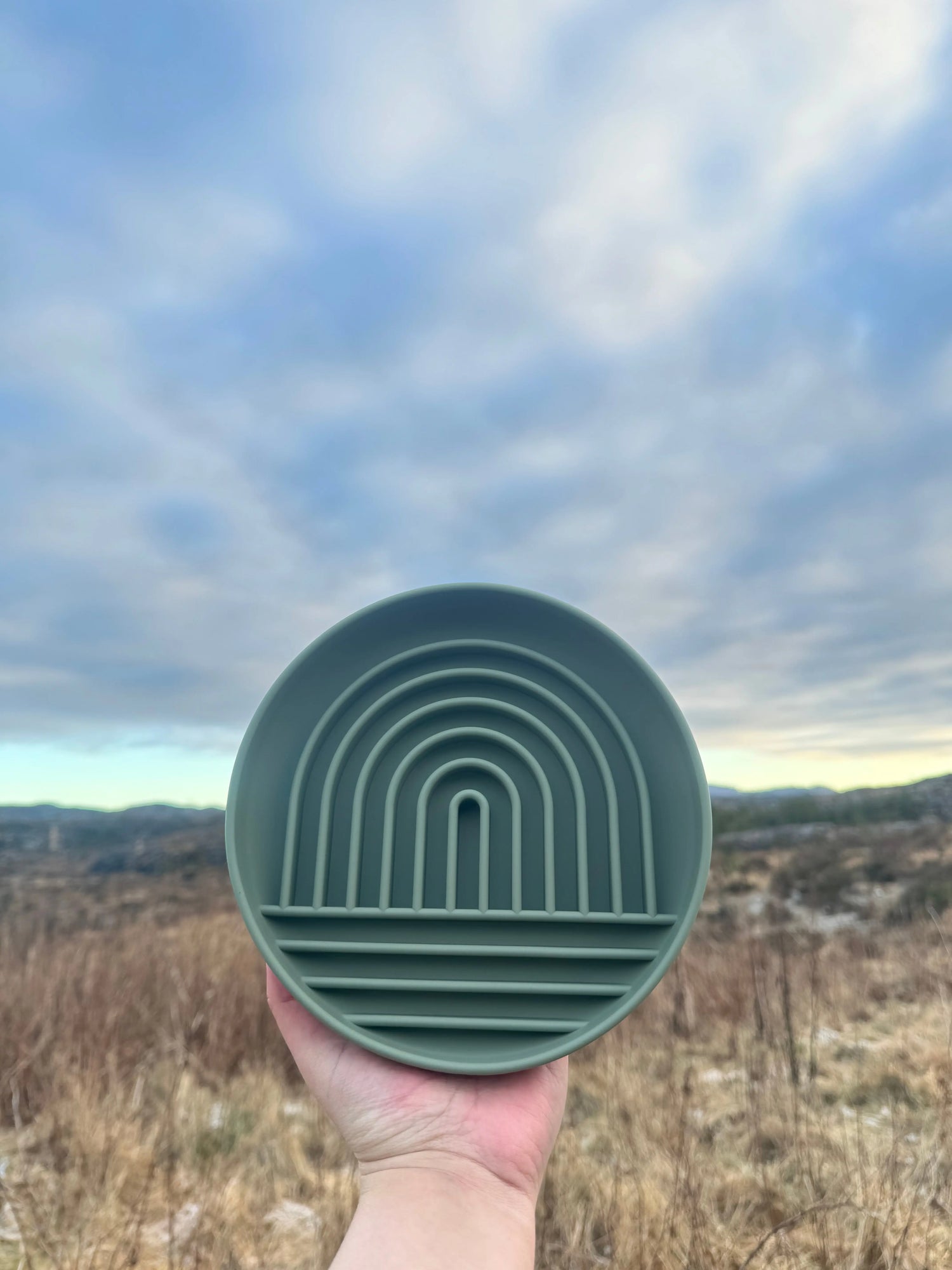 Regnbue slowfeeder  |  Pawesomeday