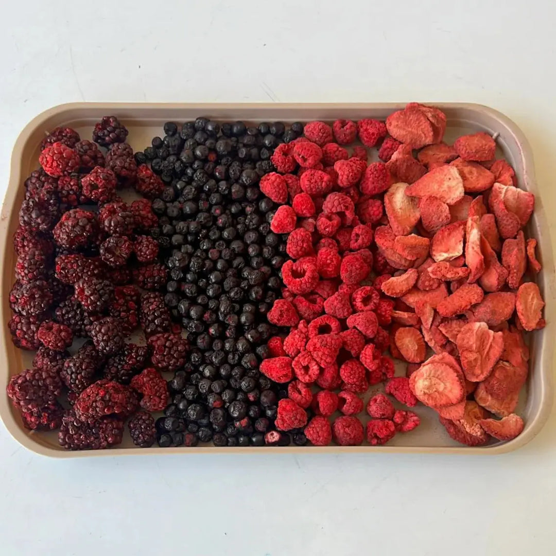 Hokuō® Mori no Berī – frysetørkede bær - 50g 🍓🌿  |  Pawesomeday.no