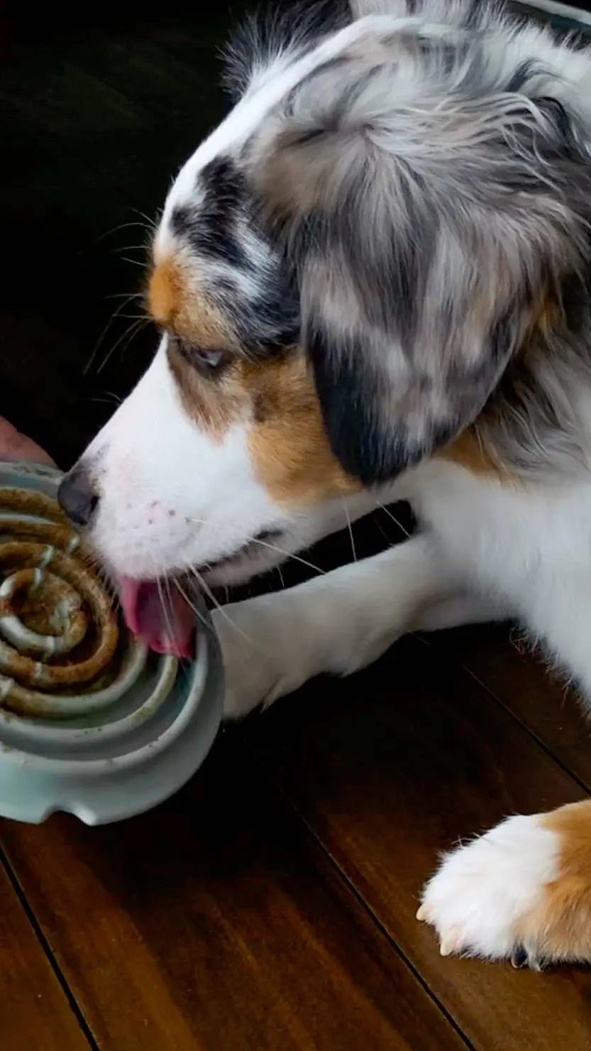Twirl: Easy Clean Lick Mat (Comes in a Pair)  |  Pawesomeday.no