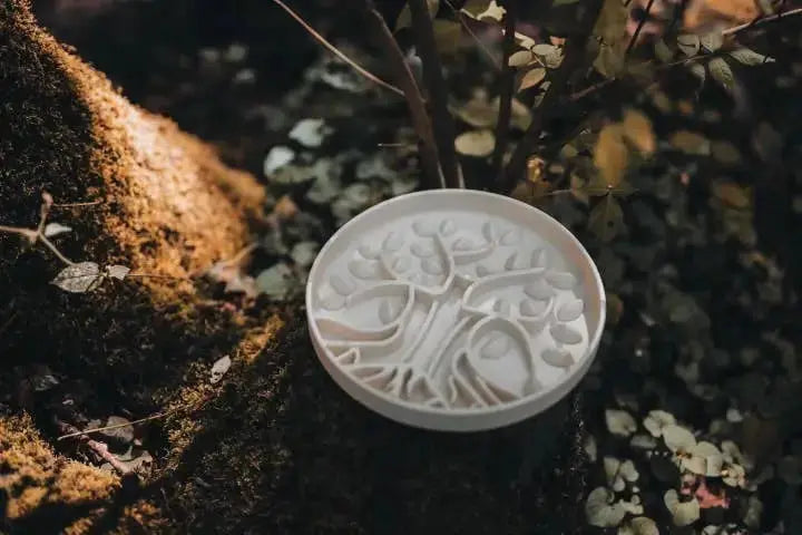 PRE-ORDER Bodhi & The Birchtree Slow Feeder | Elderflower  |  Pawesomeday.no