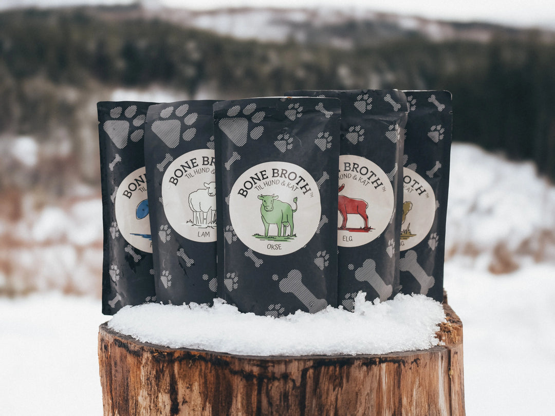 Hokuō™ - Bone broth - Smak av storfe - 230ml og 100ml  |  Pawesomeday