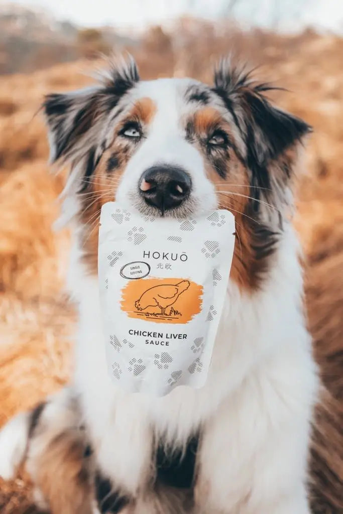 Hokuō™ - Lever saus - Smak av kylling - 100ml  |  Pawesomeday.no