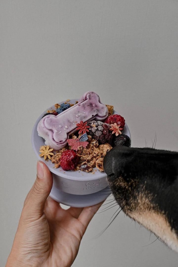 CHEWDEN Trove: Dog Enrichment Feeder  |  Pawesomeday.no
