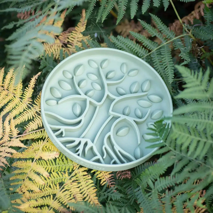 PRE-ORDER Bodhi & The Birchtree Slow feeder Bowl | Foliage   |  Pawesomeday.no