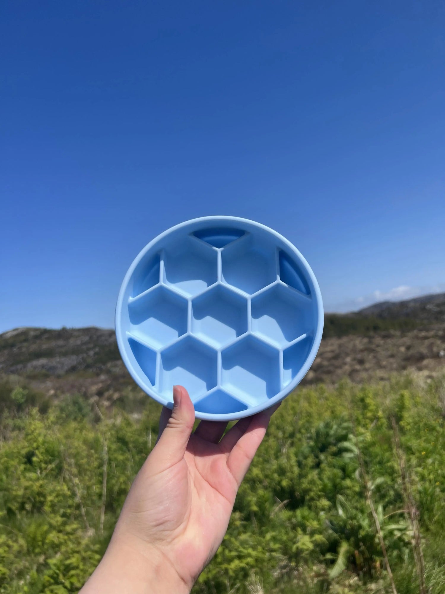 Slowfeeder rutete, med stor sugekopp.  |  Pawesomeday