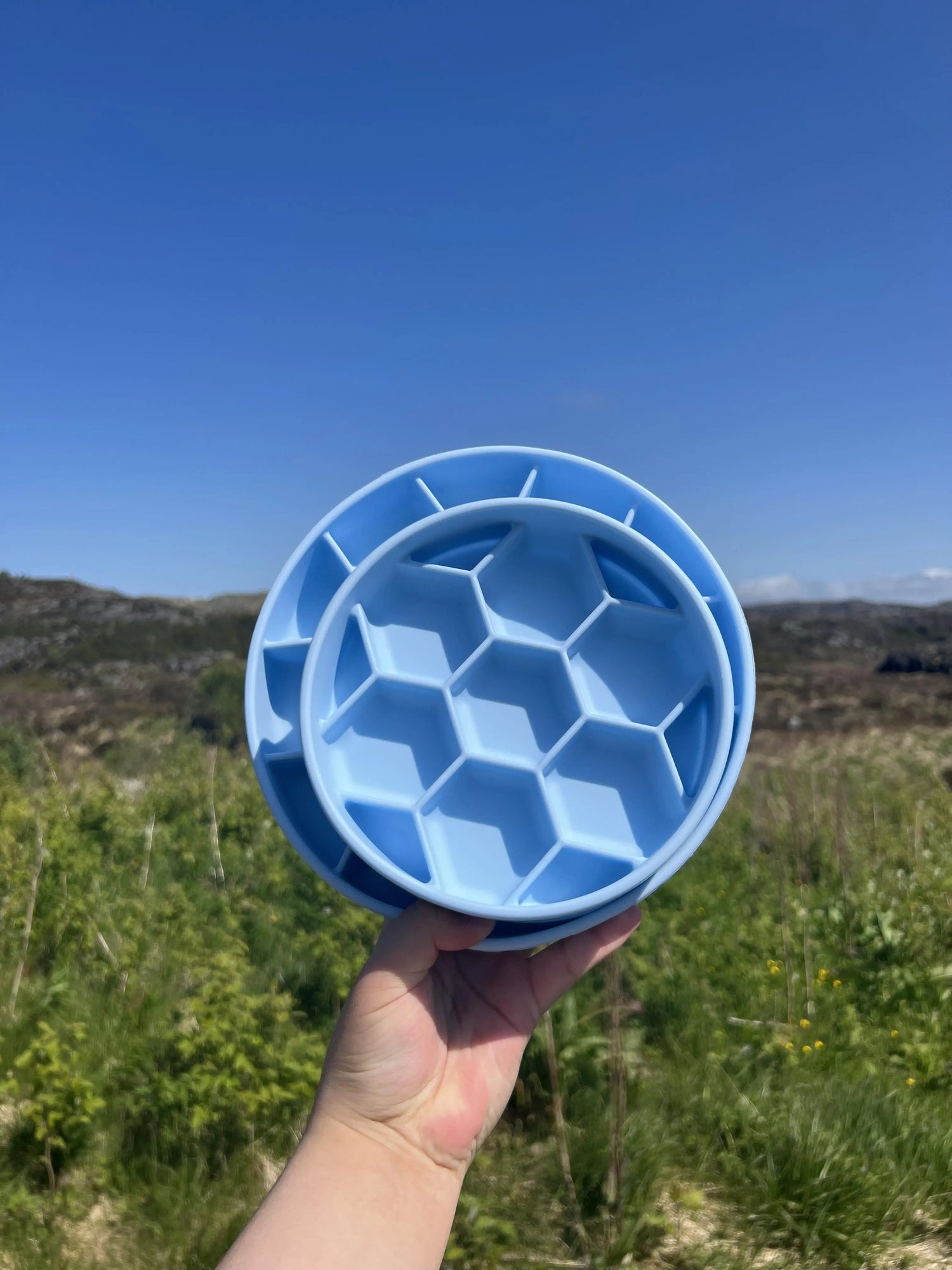 Slowfeeder rutete, med stor sugekopp.  |  Pawesomeday