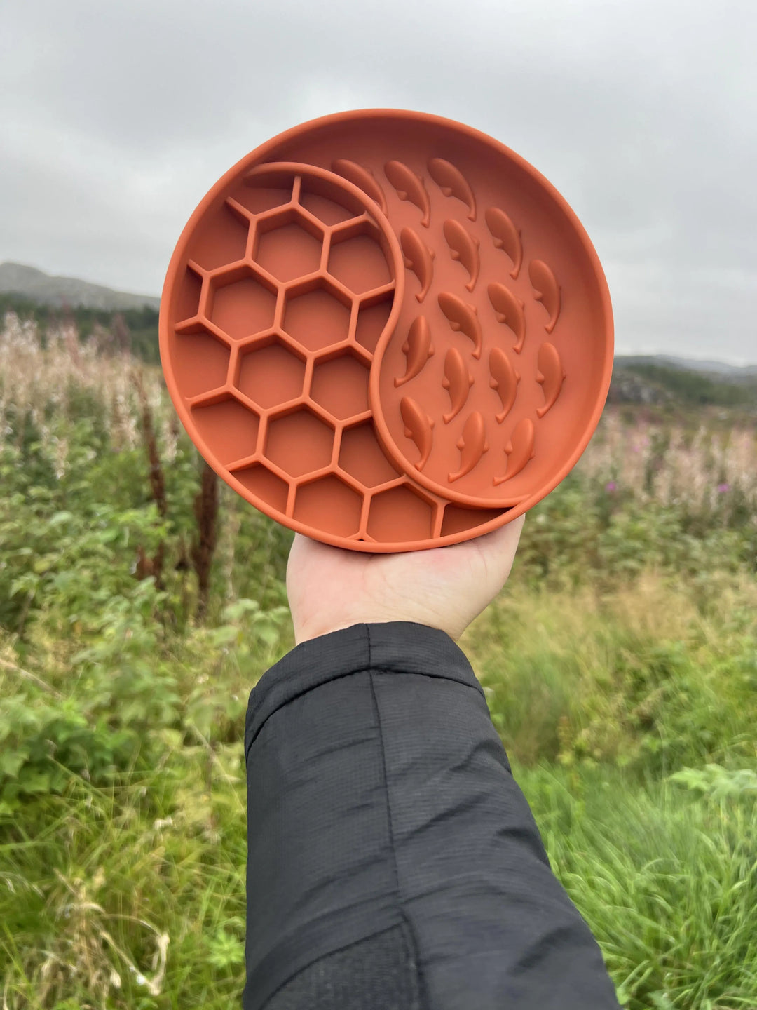 Hval slowfeeder  |  Pawesomeday
