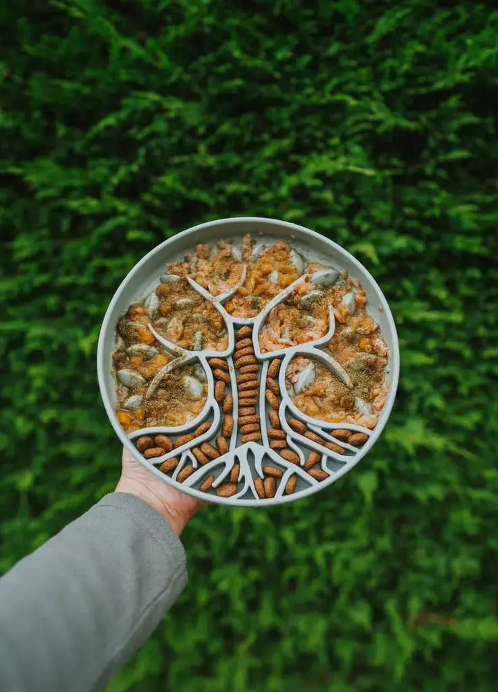 PRE-ORDER Bodhi & The Birchtree Slow Feeder Bowl | Alpine  |  Pawesomeday.no