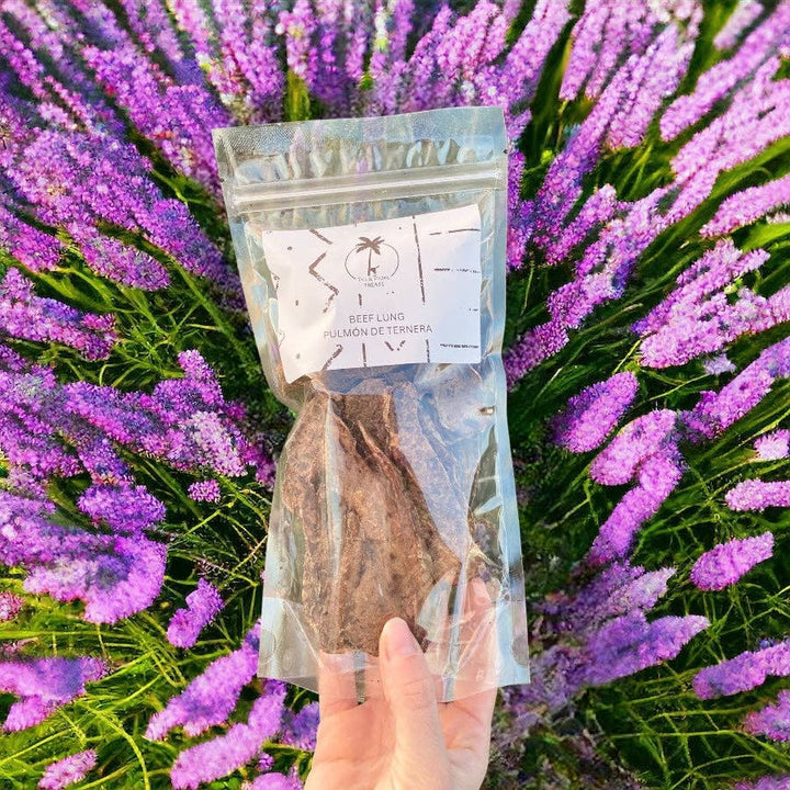 BEEF LUNG - Dehydrated natural snack for dogs  |  Pawesomeday.no