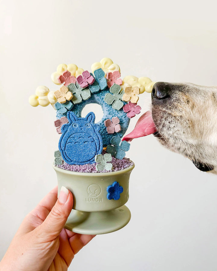 CHEWDEN Trove: Dog Enrichment Feeder  |  Pawesomeday.no