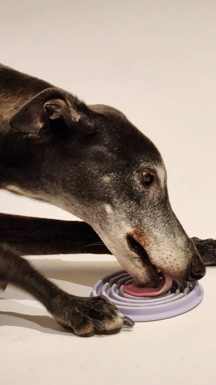Twirl: Easy Clean Lick Mat (Comes in a Pair)  |  Pawesomeday.no