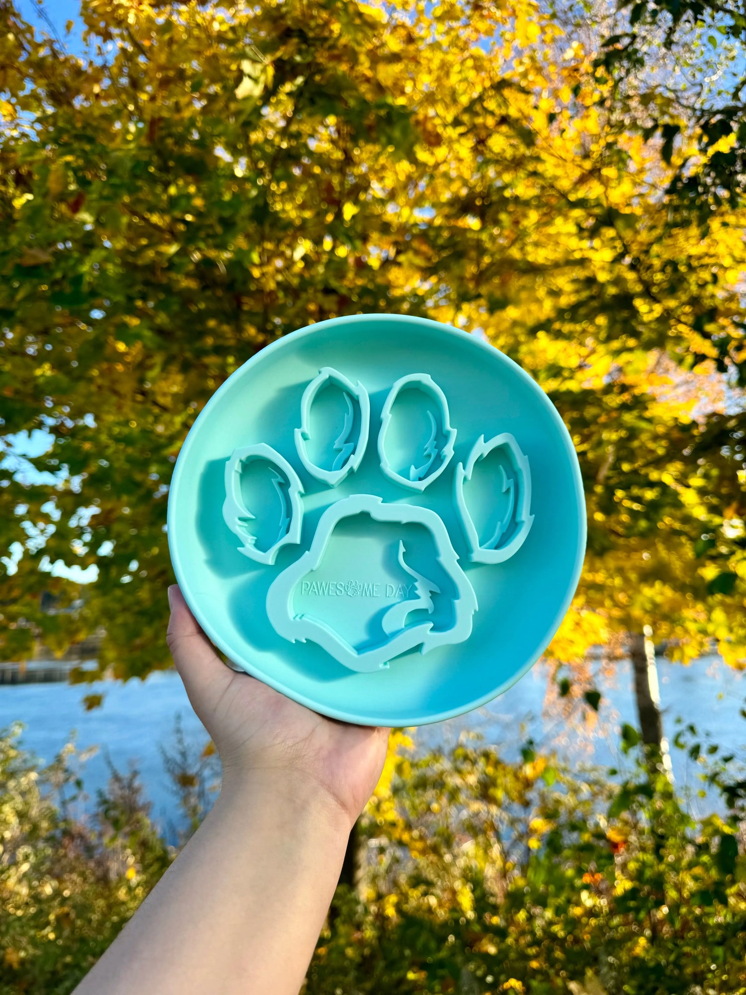 Pawesomeday slowfeeder | Slowfeeder til hund  |  Pawesomeday.no