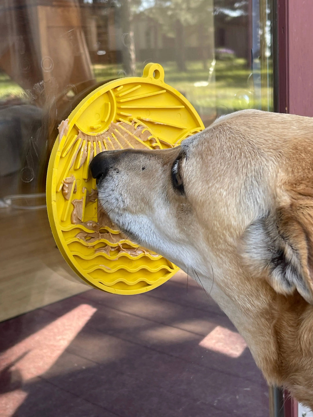 Sun n' Sea eMat Enrichment Lick Mat With Suction Cups  |  Pawesomeday.no