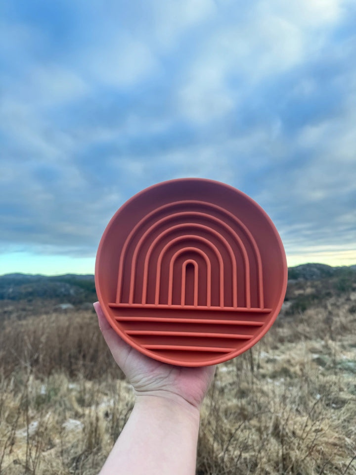Regnbue slowfeeder  |  Pawesomeday