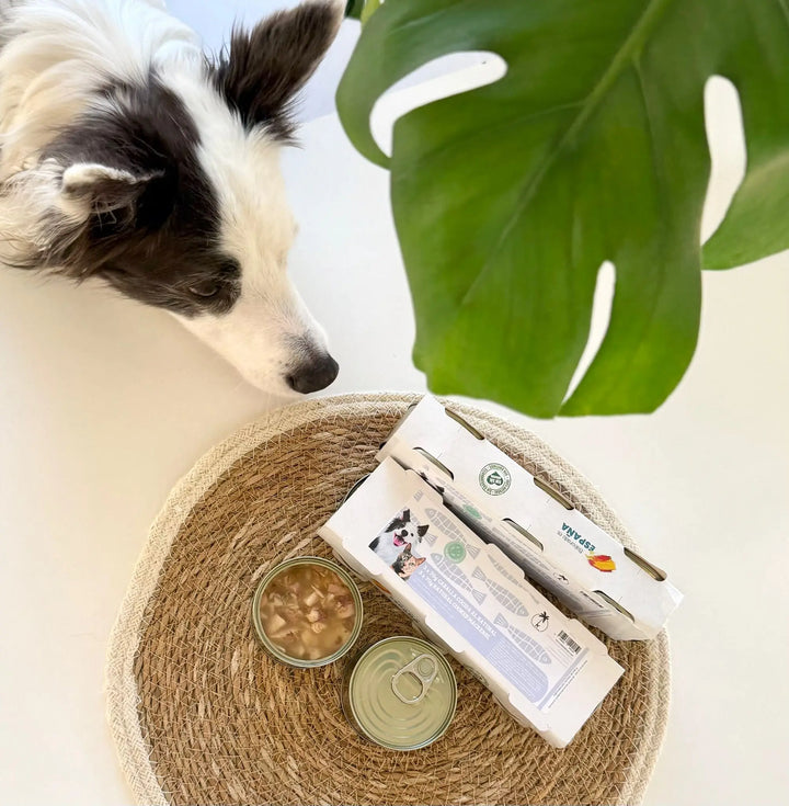 Kokt makrell på boks – Naturlig topping til hund og katt (3 x 70 g) | Pawesomeday.no  |  Pawesomeday.no