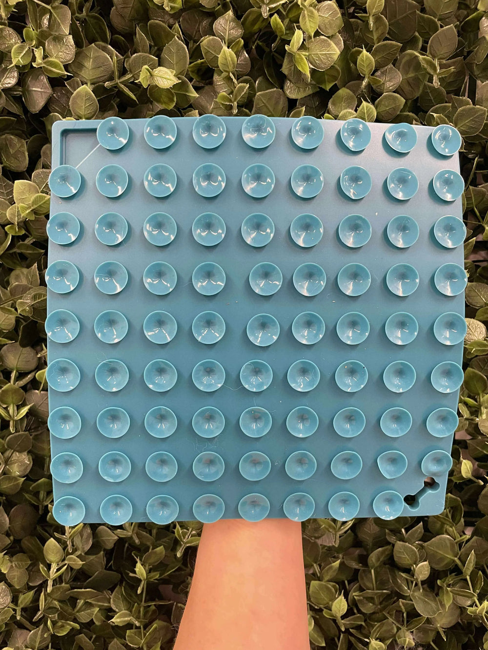 Honning Lickmat I Pawesomeday  |  Pawesomeday.no